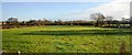 Field by the railway line