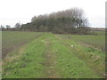 Footpath to Barton Street