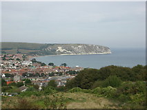 SZ0481 : Ballard Cliff, Swanage, as seen from Townsend Nature Reserve by Caroline Tandy