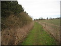 Footpath to Cooper Lane, Laceby