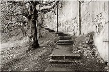 J4982 : Steps, Bangor by Rossographer