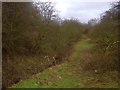 Todwick Beck