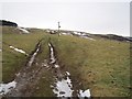 Tractor tracks, Tom Tessney