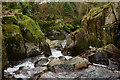 NY1701 : Whillan Beck, Boot, Cumbria by Peter Trimming