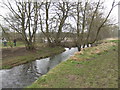 Royal Shrovetide - Henmore Brook