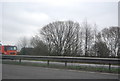 Trees by the M4