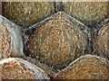 Straw bales, Coltstaple Farm near Horsham (2)