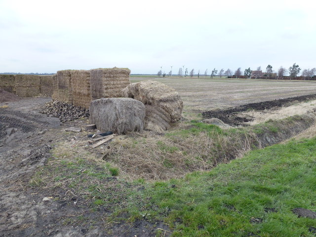 Remains of a sugar beet clamp on Puddock Road near Warboys