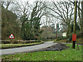 Postbox and ducks, Padgham Lane