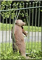 Bear breaks into the Playground, Ruskin Park, Walkley, Sheffield - 3