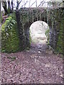 Disused Rail Bridge