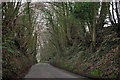 TQ6512 : Sunken lane north of  Windmill Hill by Robin Webster
