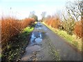 Potholes along Merchantstown Road