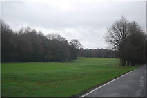 TQ4539 : Holtye Golf Course by N Chadwick