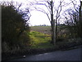 Footpath to Burrell