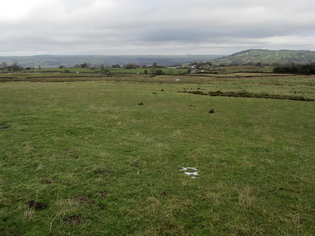 Upland Pasture beside Bingley Road
