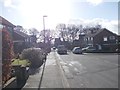 Woodlands - looking towards  Bradford Road