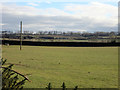 Looking across fields towards Newlands