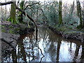 Luckford Lake