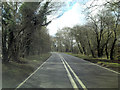 A343 bends through Doles Wood