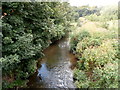 A small tributary of the River Stour, Kidderminster