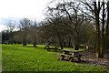 Picnic area behind A31 services at Farnham