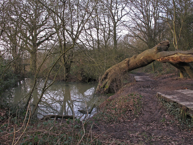 Pond at Lincewood, Langdon Nature Reserve