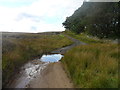 Ford across Shildon Burn