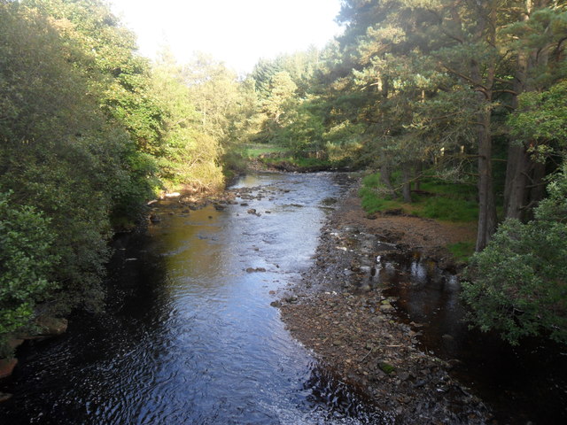 River Derwent downstream from Baybridge