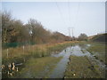 SE6511 : Waterlogged land by the railway by Jonathan Thacker