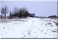 SP5711 : Snow covered Oxfordshire Way near Beckley by Steve Daniels