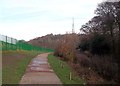 New Path and Plantation near Brookhill Hall