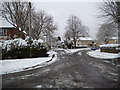 Snowy Gibbons Hill Road