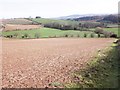 Muddy field, near Huish Barton