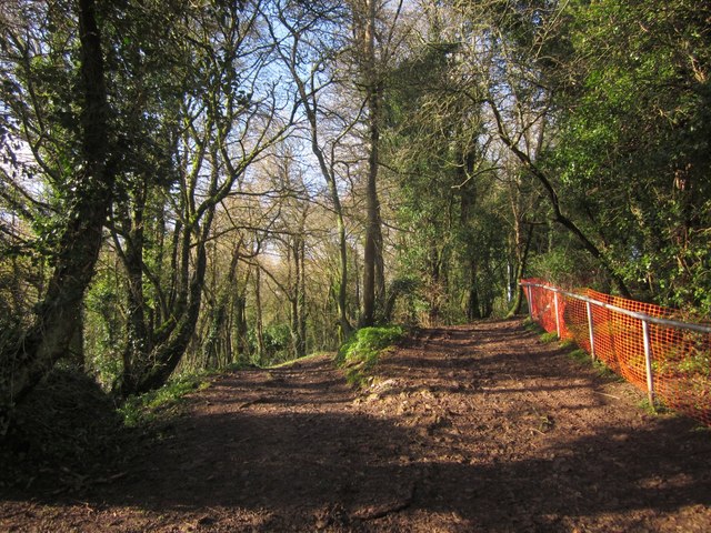 Path junction, Kerswell Down