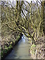 Brook near Crooke