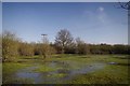 Flooded Paddock in Nevendon