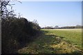 Footpath to Bowers Gifford