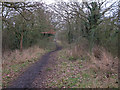 Maldon Wick Nature Reserve Path