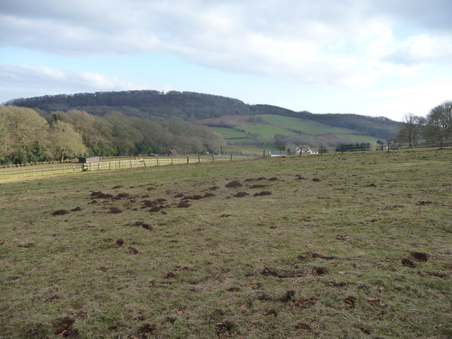 Fields between Kymin Hill and Bunjups Wood
