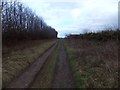 Hare Path, a bridleway leading to Summerway Cross