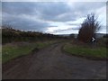 Hare Path, a bridleway near Wheddon Cross