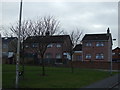 Houses on Skelton Street