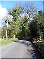 Shacklands Road entering Andrew