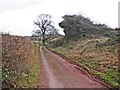 ST0637 : Birchanger Lane by Roger Cornfoot