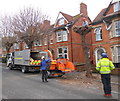 Pruning Trees in The Avenue