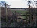 Footpath south west from Wionchester Road