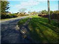 Grass verge with pony and rider in Weyhill