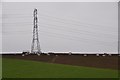 Taunton Deane District : Pylon & Farmland