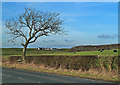 Farmland View